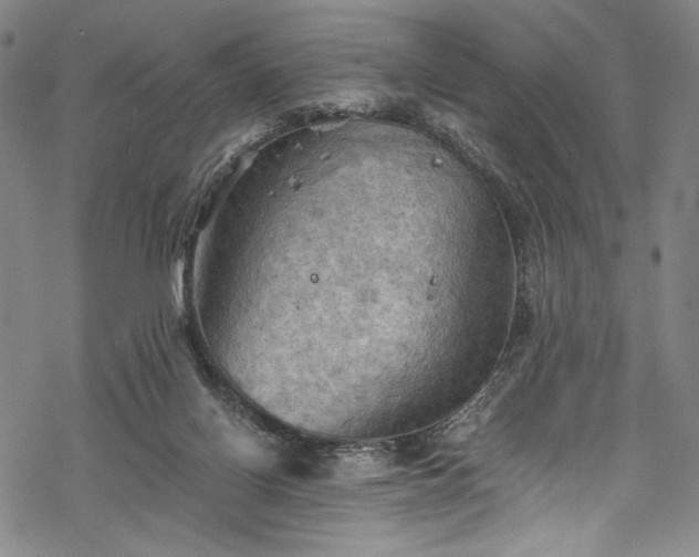 X0000068740070200605051502