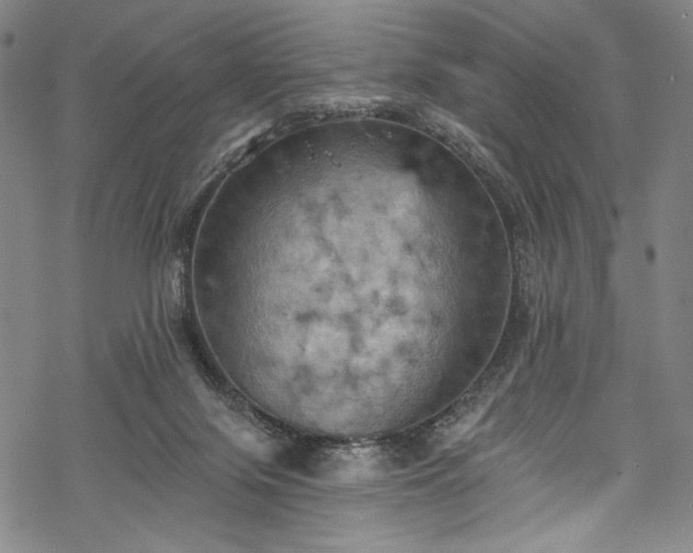 X0000068740071200605051502