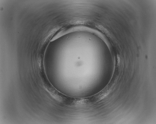 X0000068740072200605051502