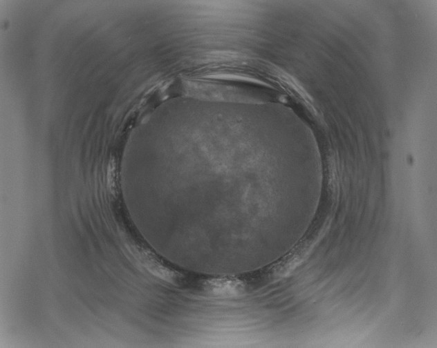 X0000068740073200605051502