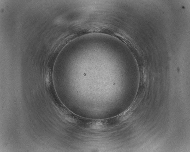 X0000068740074200605051502