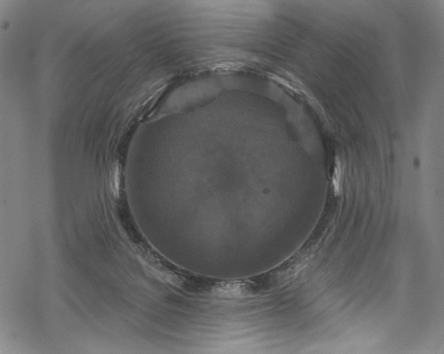 X0000068740076200605051502