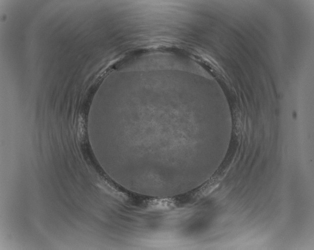 X0000068740077200605051502