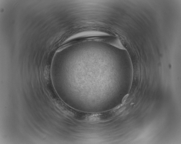 X0000068740078200605051502