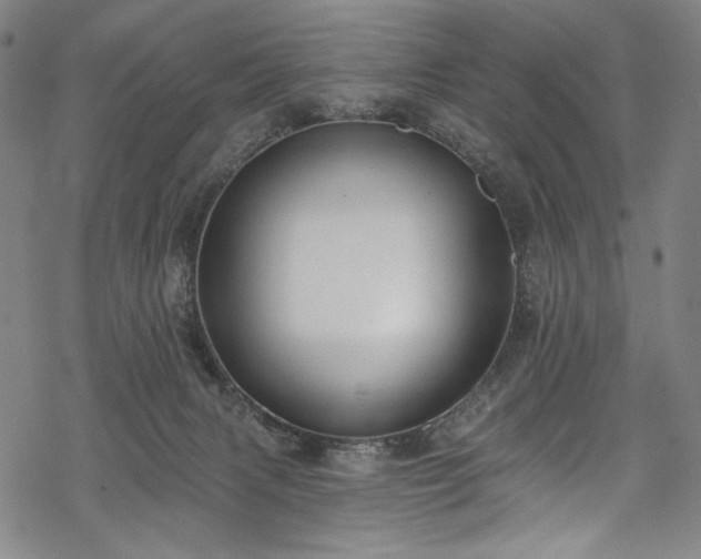 X0000068740079200605051502