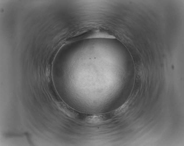 X0000068740082200605051502