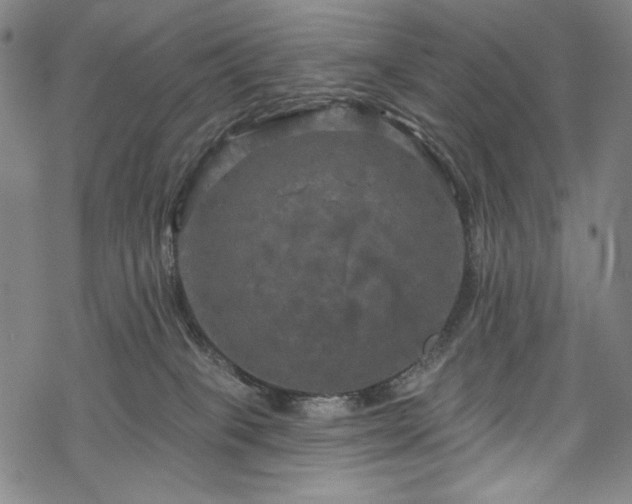 X0000068740085200605051502