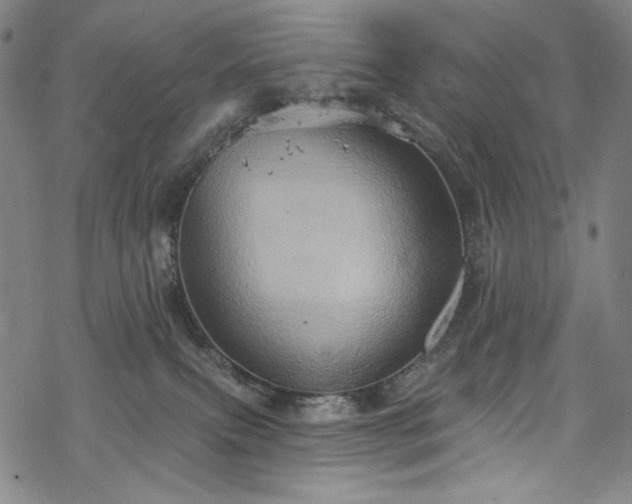 X0000068740087200605051502