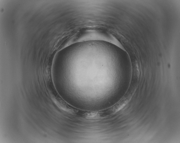 X0000068740088200605051502