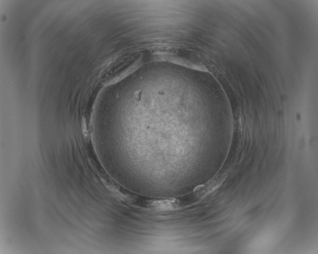 X0000068740089200605051502