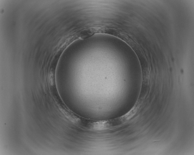 X0000068740090200605051502