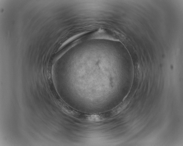 X0000068740091200605051502