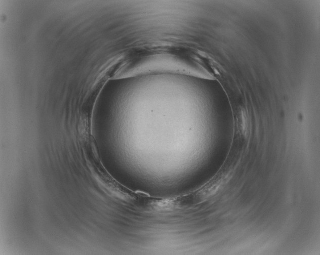 X0000068740092200605051502