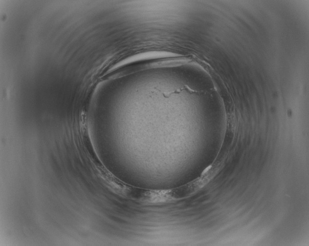 X0000068740093200605051502