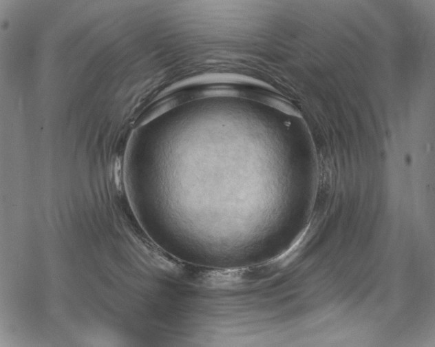 X0000068740094200605051502