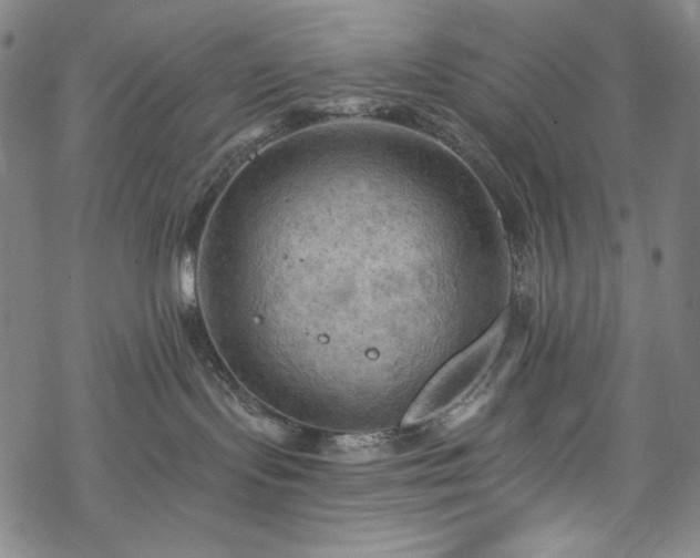 X0000068740095200605051502