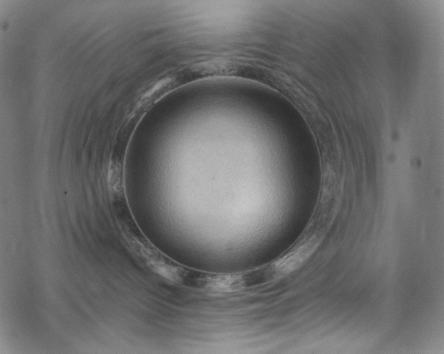 X0000068740096200605051502