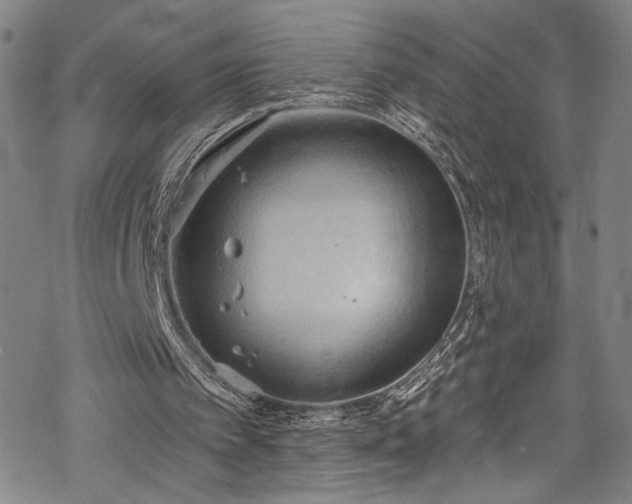 X0000068740097200605051501