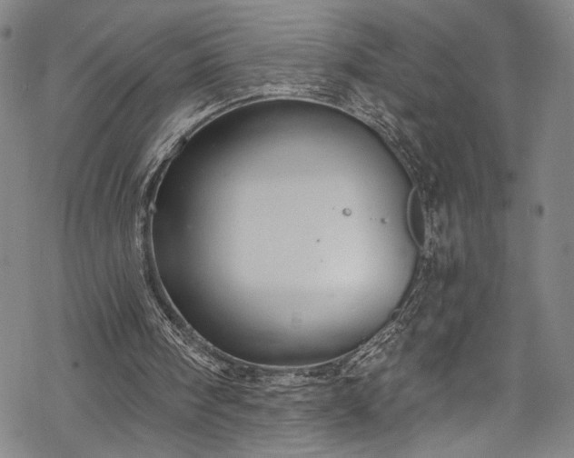 X0000068740098200605051501