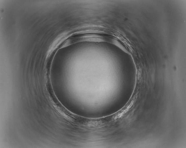 X0000068740101200605051501