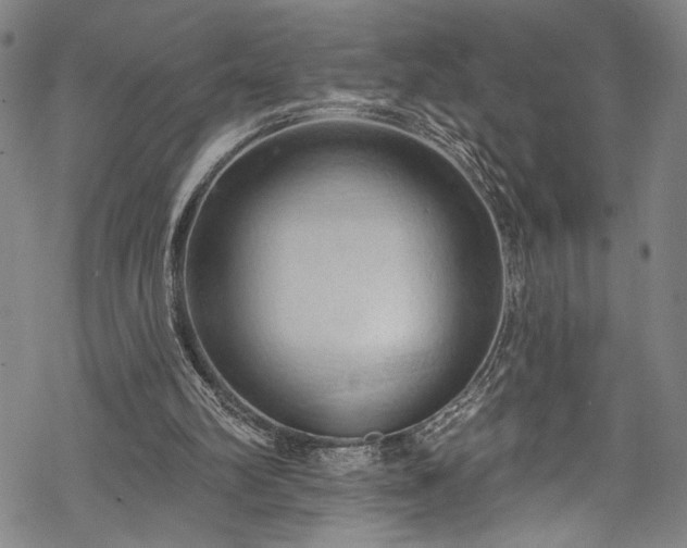 X0000068740102200605051501