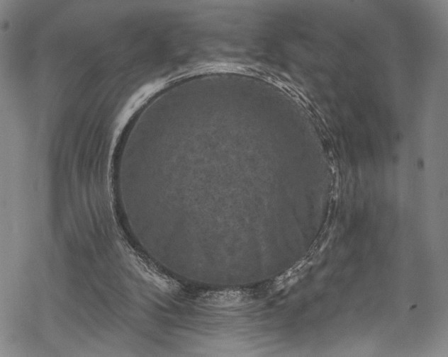 X0000068740104200605051501