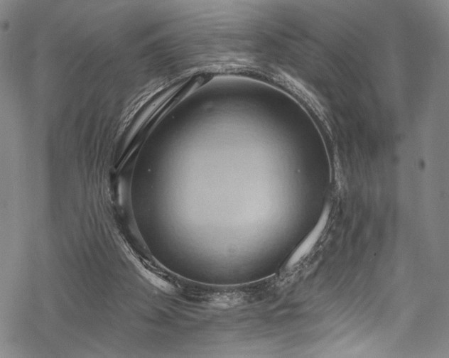 X0000068740105200605051501