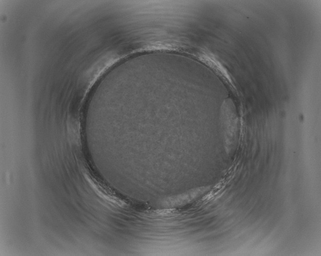 X0000068740108200605051501