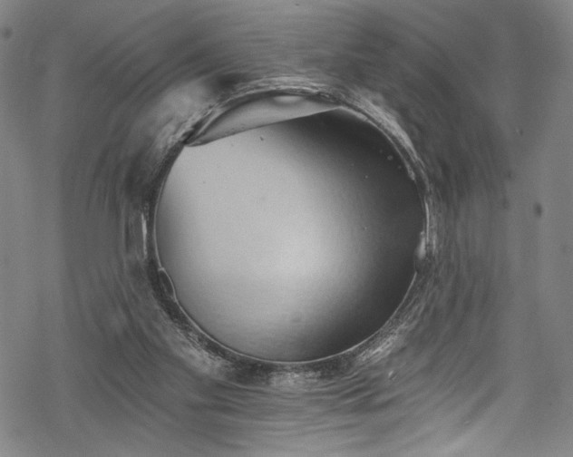 X0000068740109200605051501