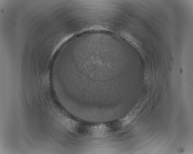 X0000068740112200605051501