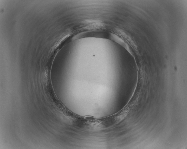 X0000068740113200605051501