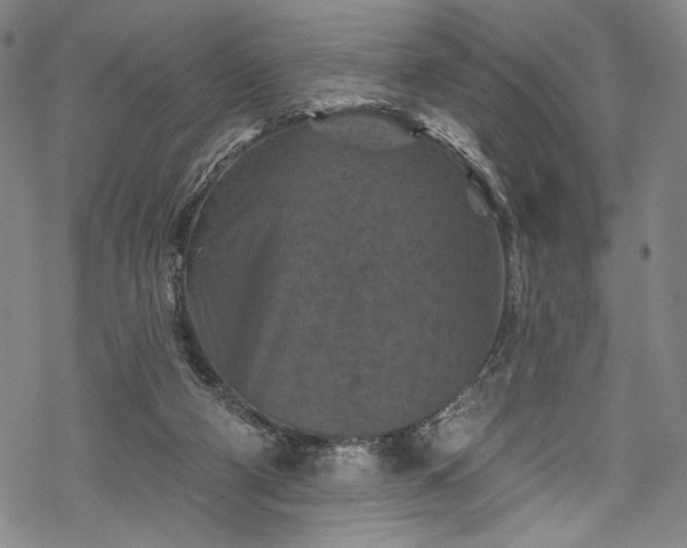 X0000068740114200605051501