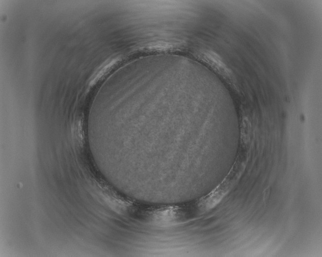 X0000068740116200605051501