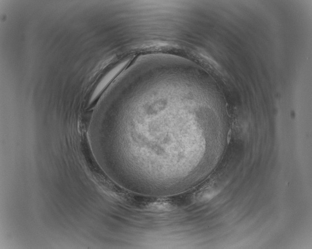 X0000068740119200605051501