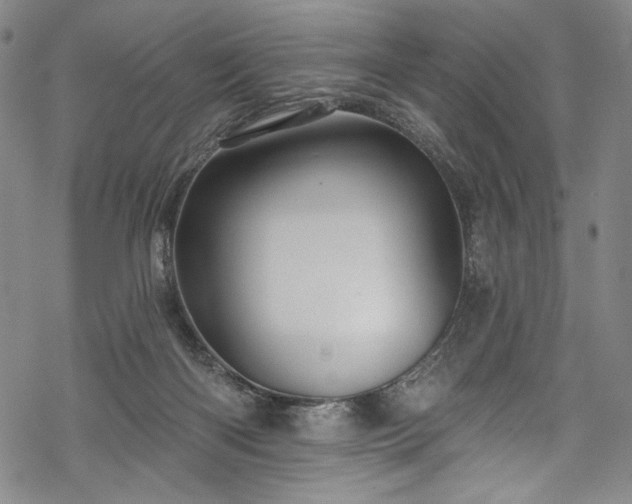 X0000068740122200605051501