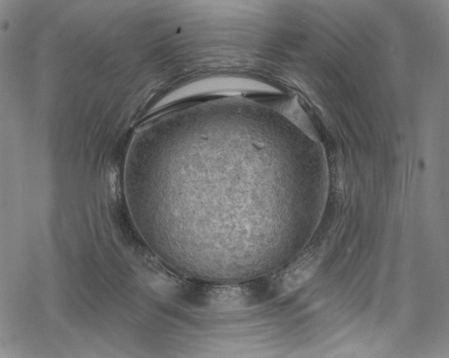 X0000068740123200605051501