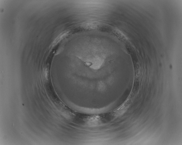 X0000068740124200605051501