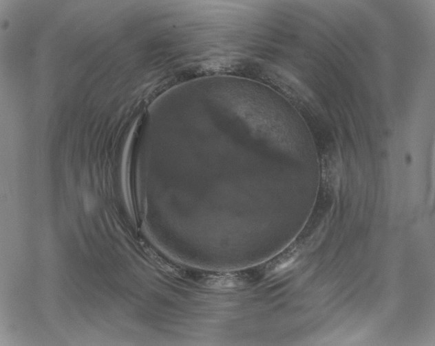 X0000068740127200605051501