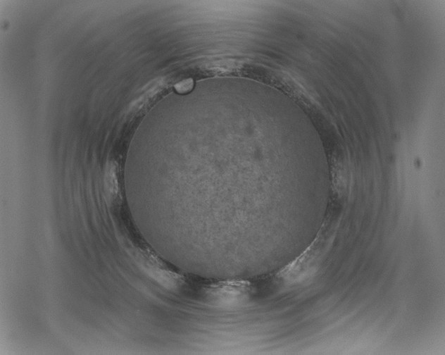 X0000068740128200605051501