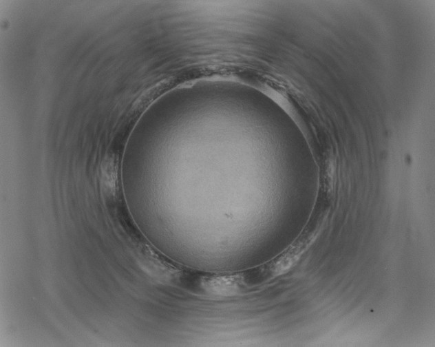 X0000068740129200605051501