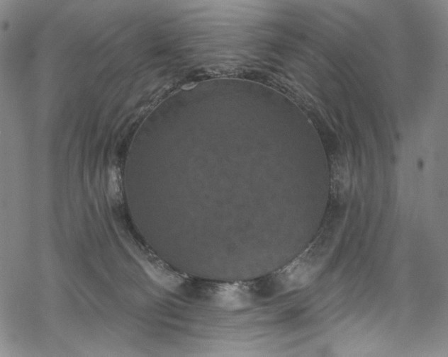 X0000068740130200605051501