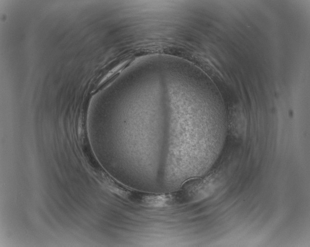 X0000068740131200605051501