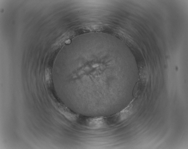 X0000068740132200605051501