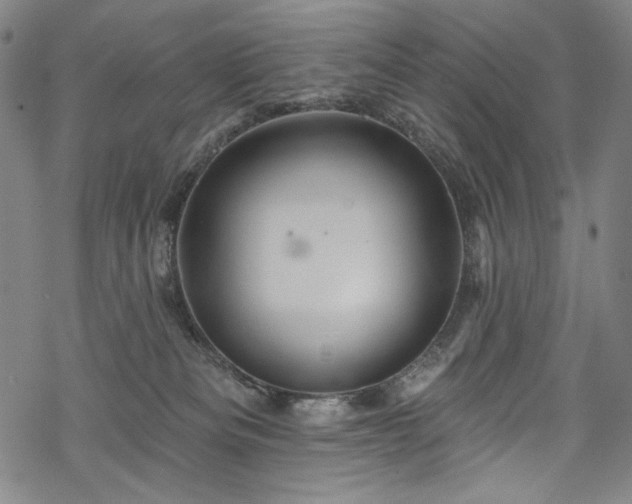 X0000068740133200605051501