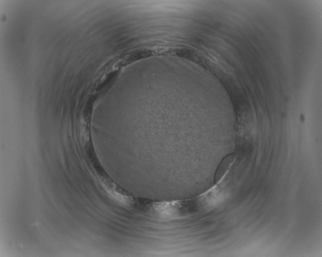 X0000068740136200605051501