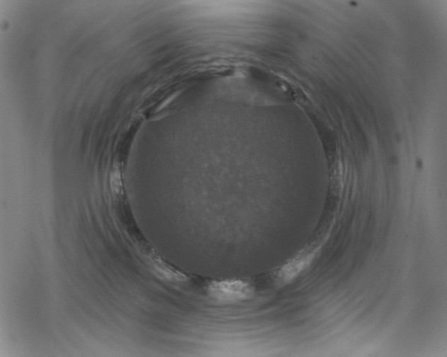 X0000068740137200605051501