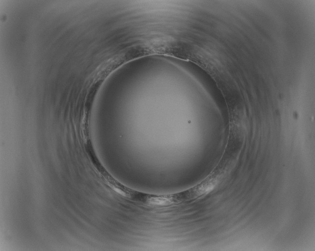 X0000068740139200605051501