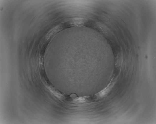 X0000068740140200605051501