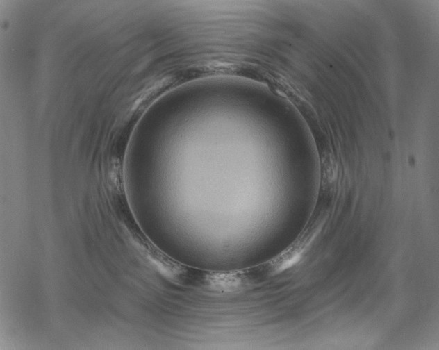 X0000068740141200605051501