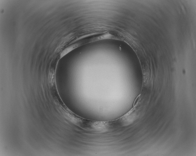 X0000068740142200605051501